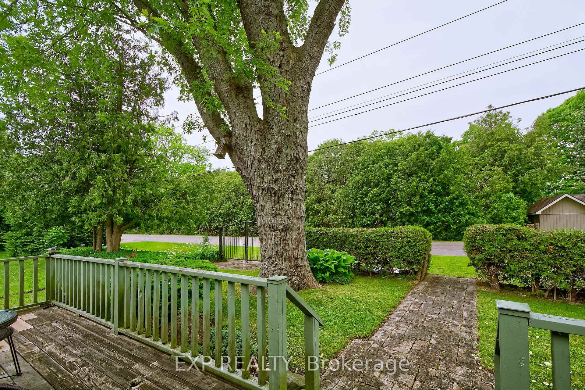 18 Tuyll Street photo 10