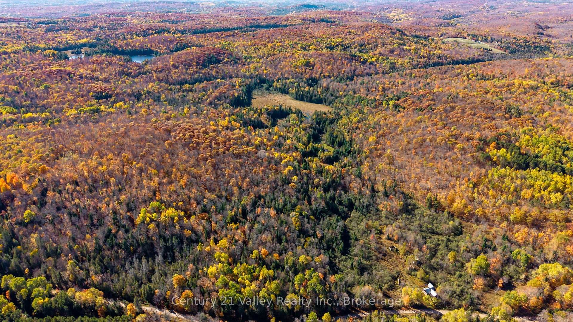 170 Schavens Lake Road photo 43