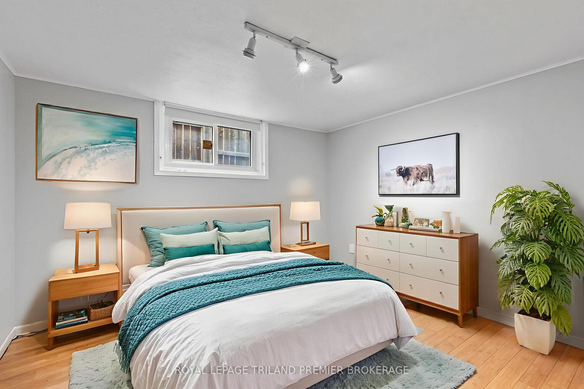 28 Elworthy Avenue photo 28