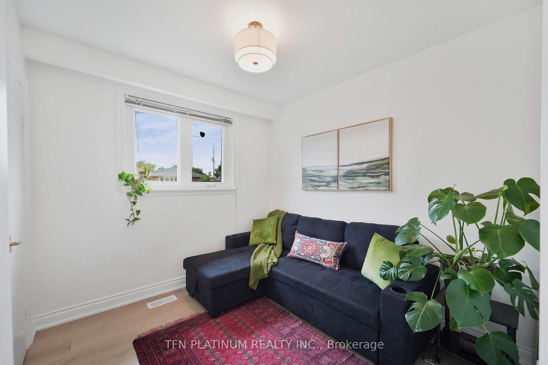 17 Frost Street photo 12
