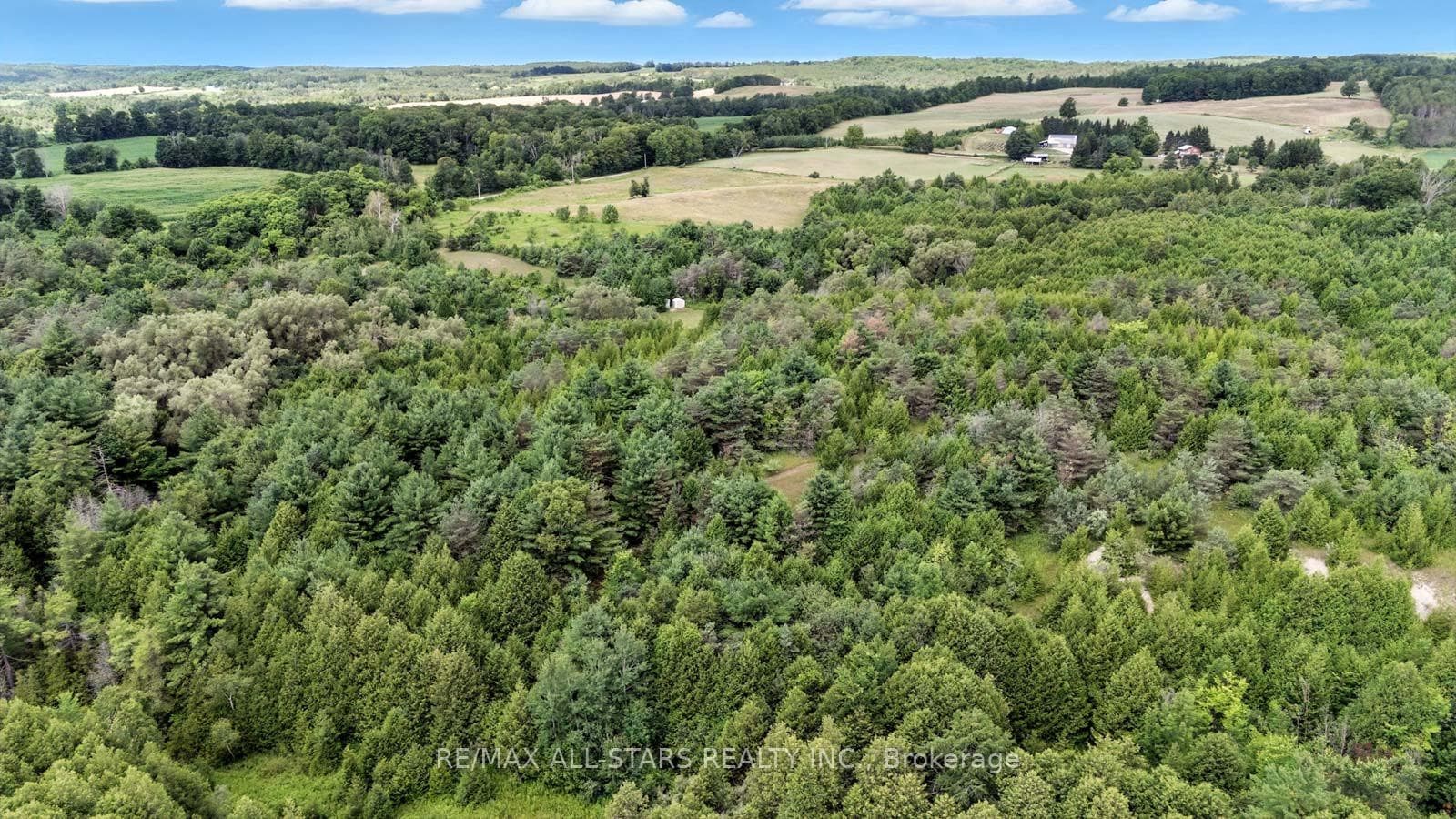 8287 Allin Road photo 13