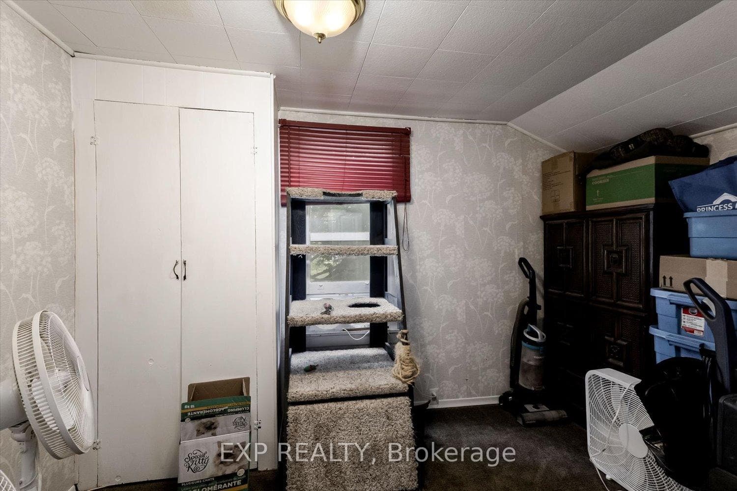 181 Union Street photo 18
