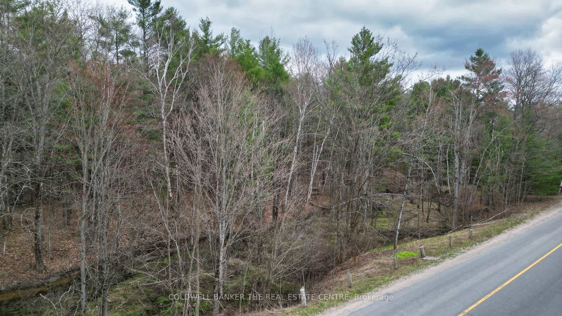 2493 Housey's Rapids Road photo 9