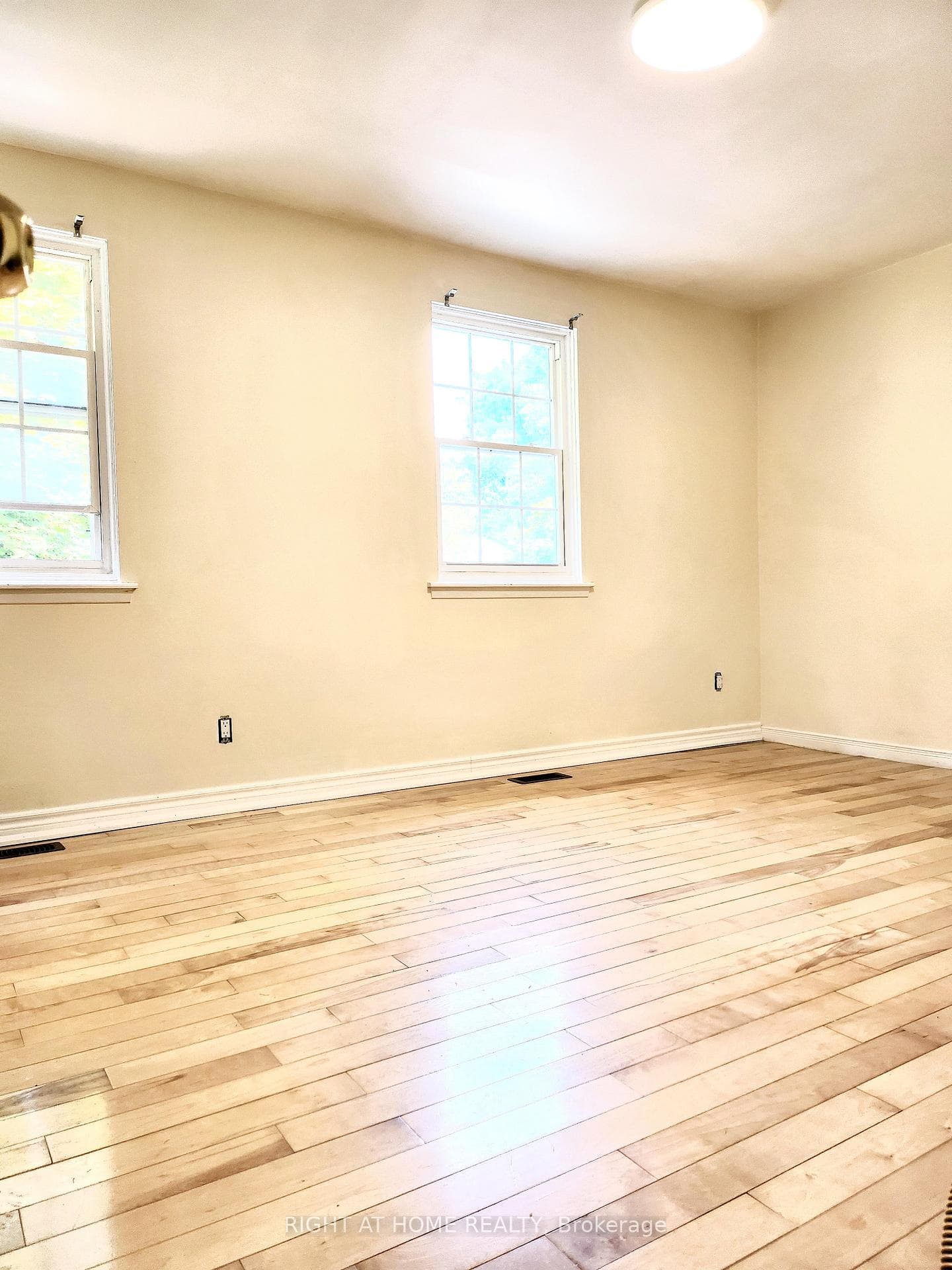 56 Gordon Way photo 6