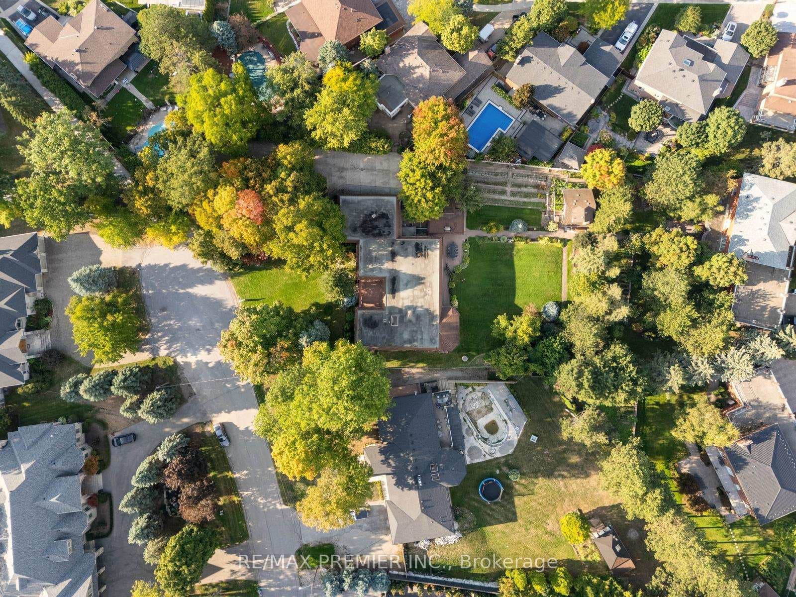 Surrounded by Mature Trees