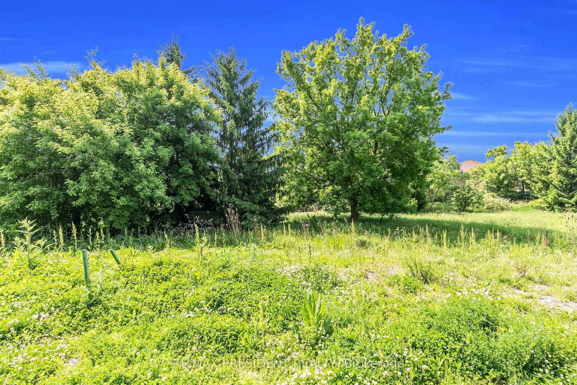 34 Queenpost Drive photo 42