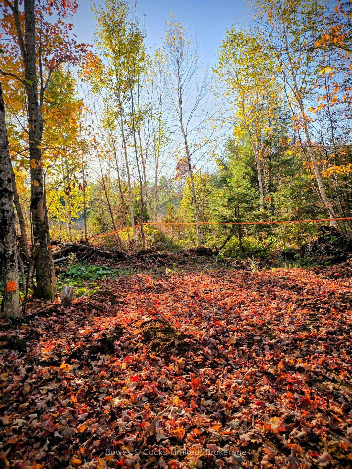 42 Clear Lake Court photo 17