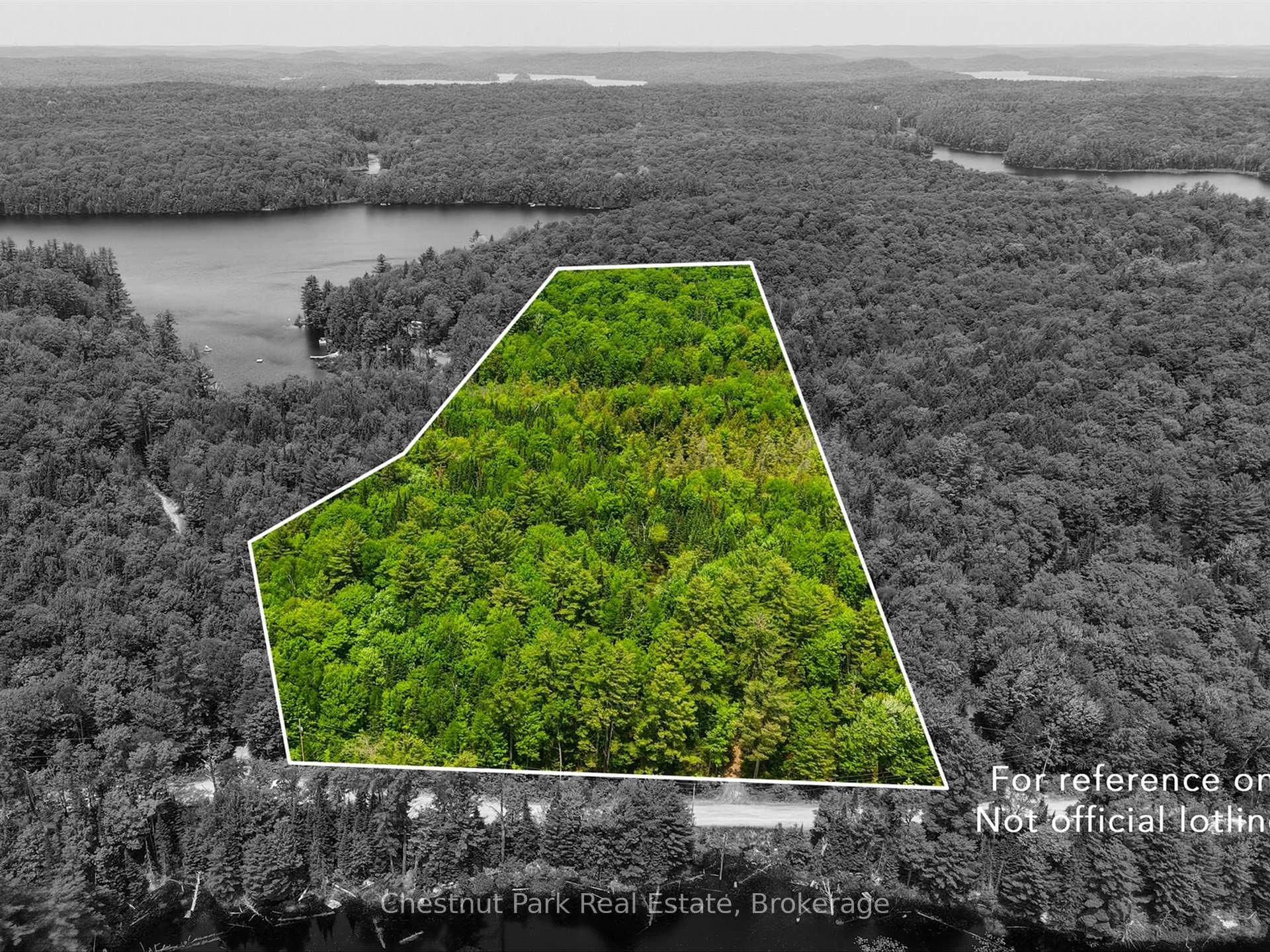 1045 North Pine Drive photo 3