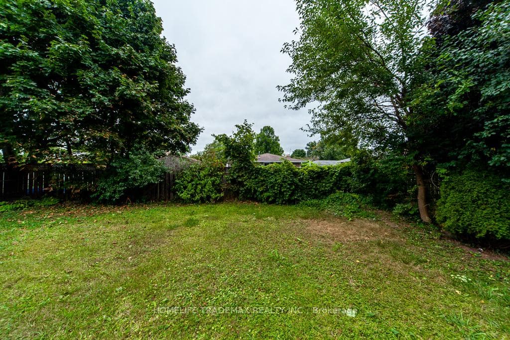 61 College Crescent photo 37