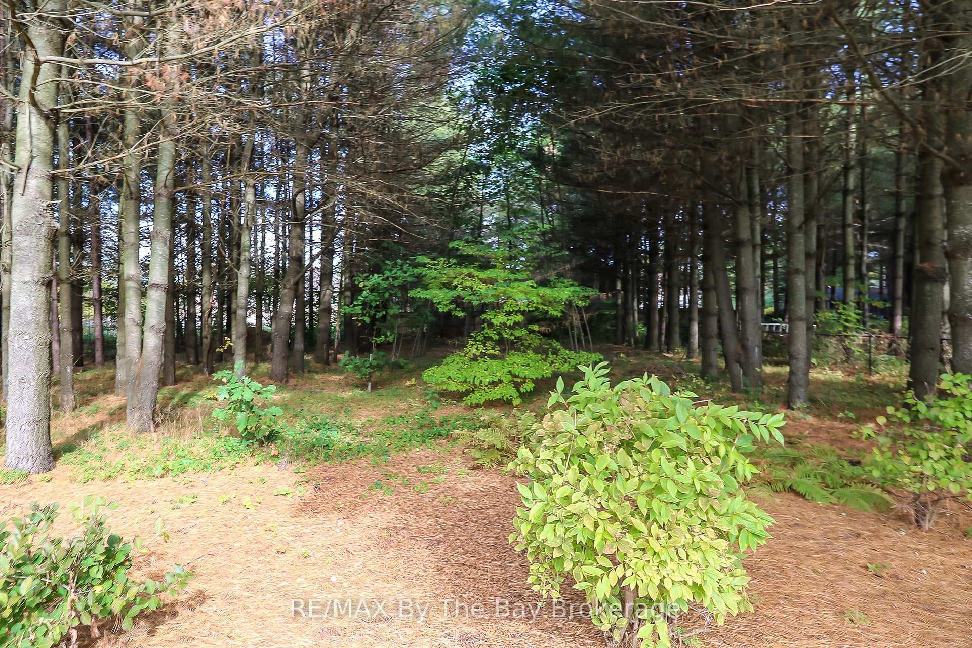 60 Martyn Drive photo 46