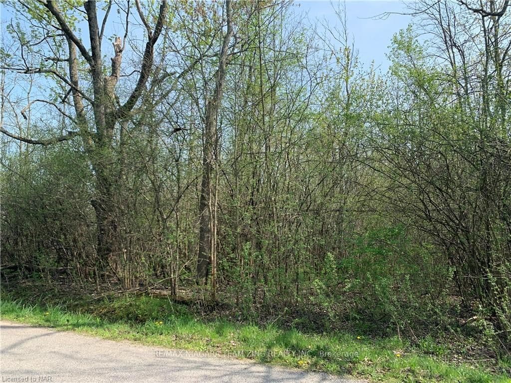 PT LT 17 BETHUNE Avenue photo 5