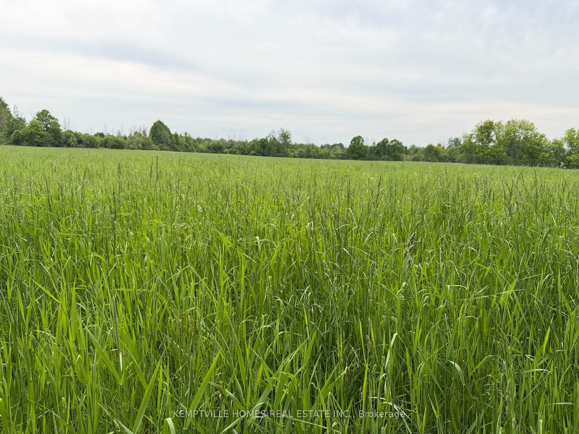 00 RICHARDSON Road photo 36