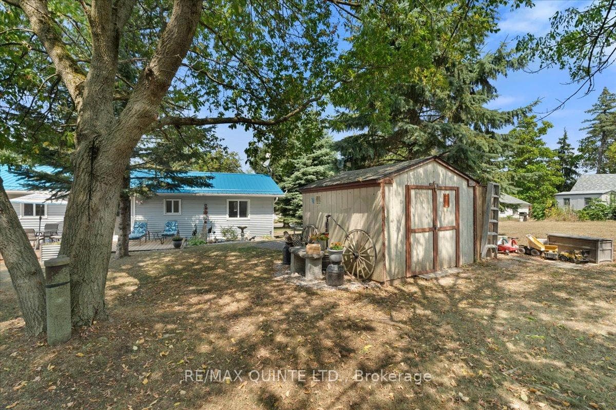 big back yard