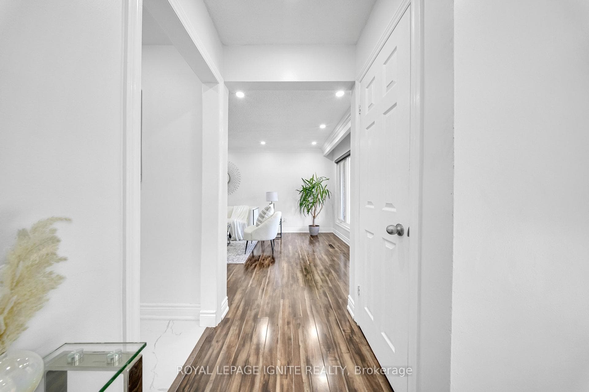 3113 Morning Star Drive photo 4