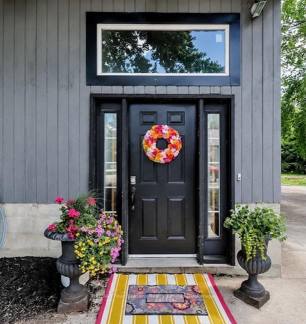 Entrance door
