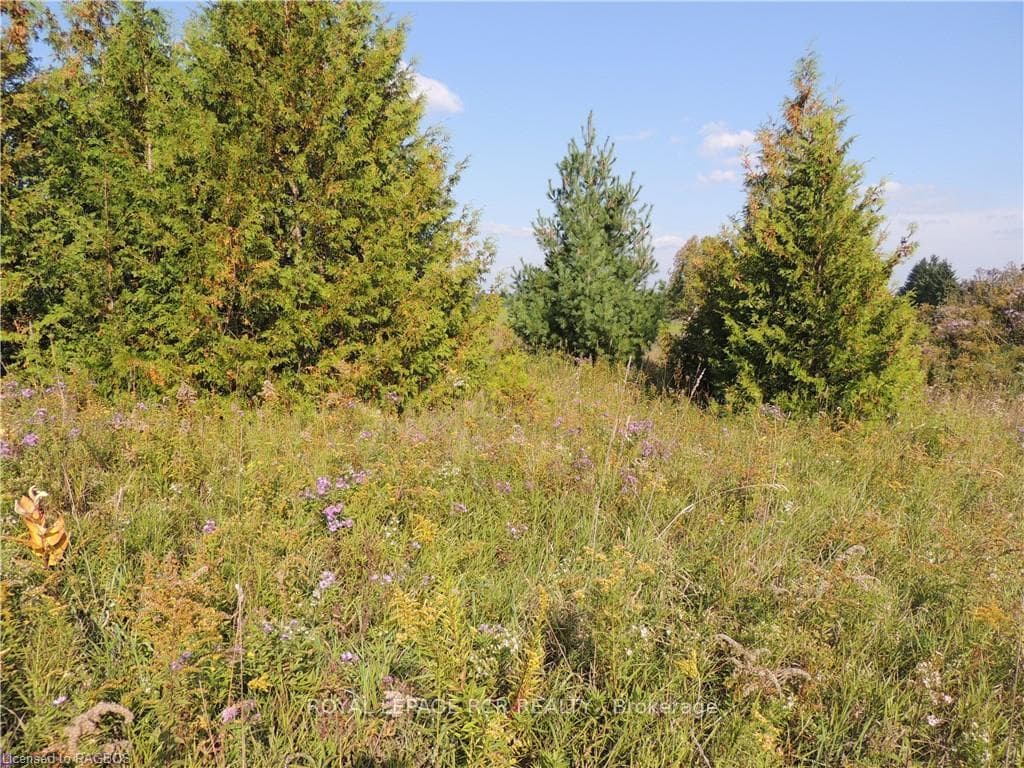 384551 CONCESSION 4 N/A photo 5