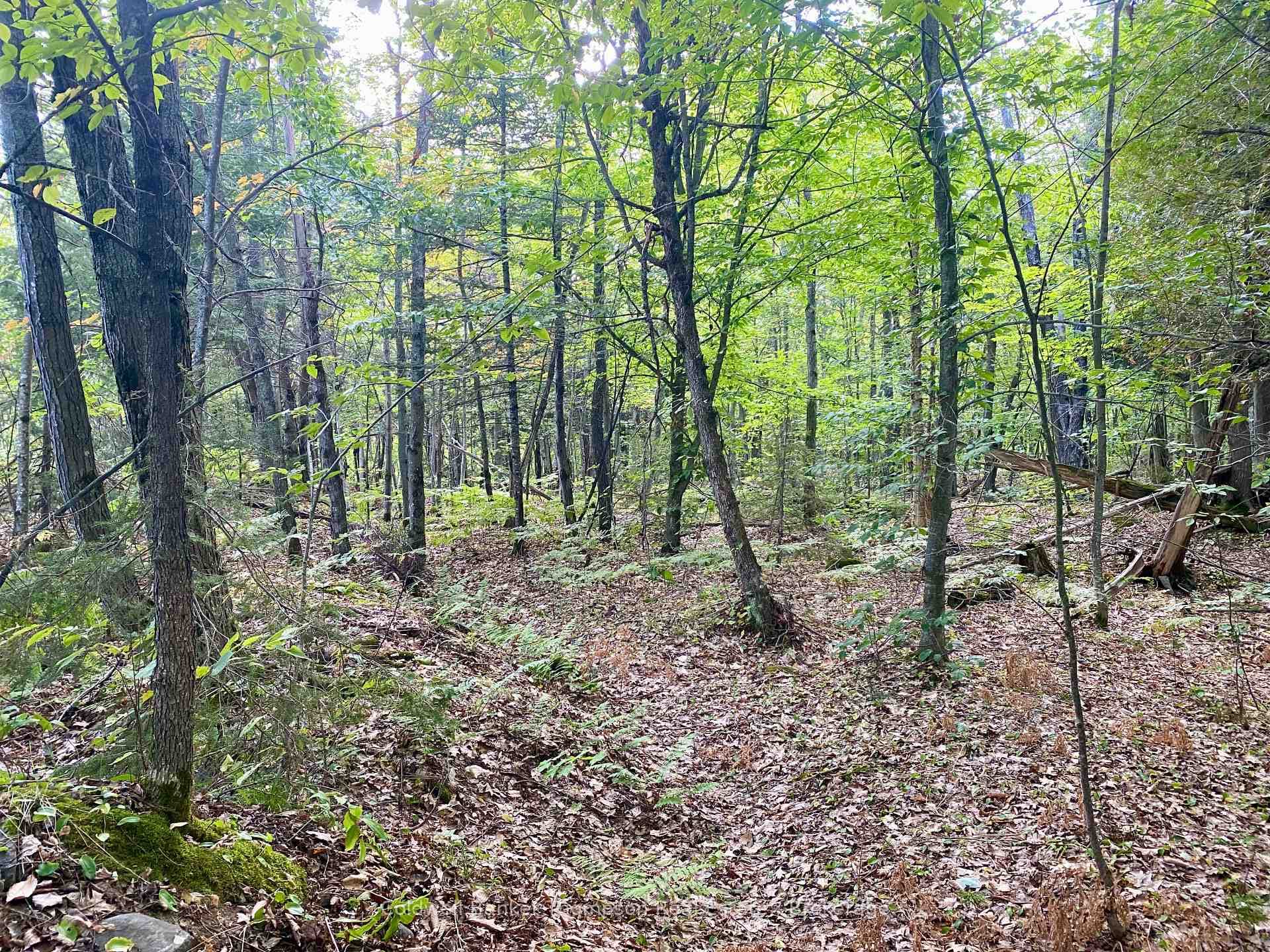 0 Clear Lake Road photo 8