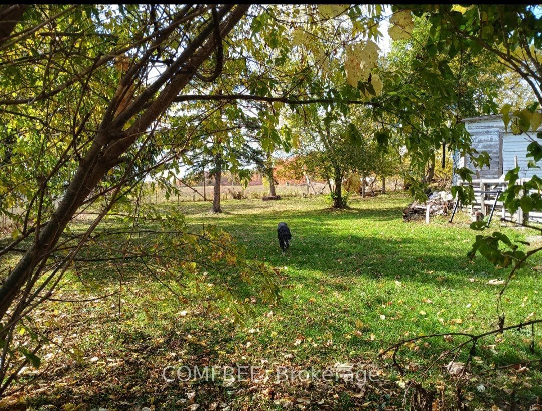 2 Miller Street photo 28