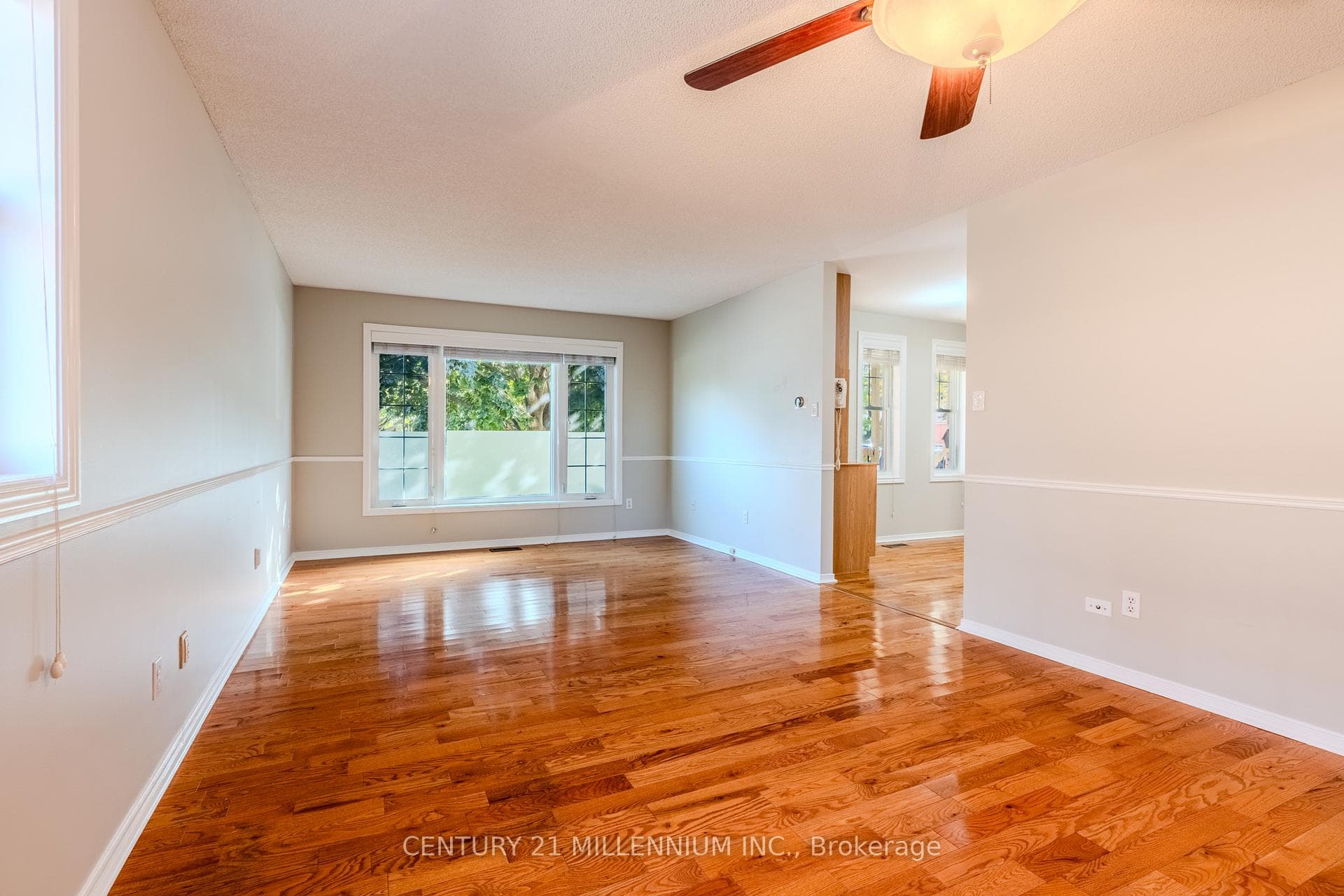 60 Ofield Road photo 14