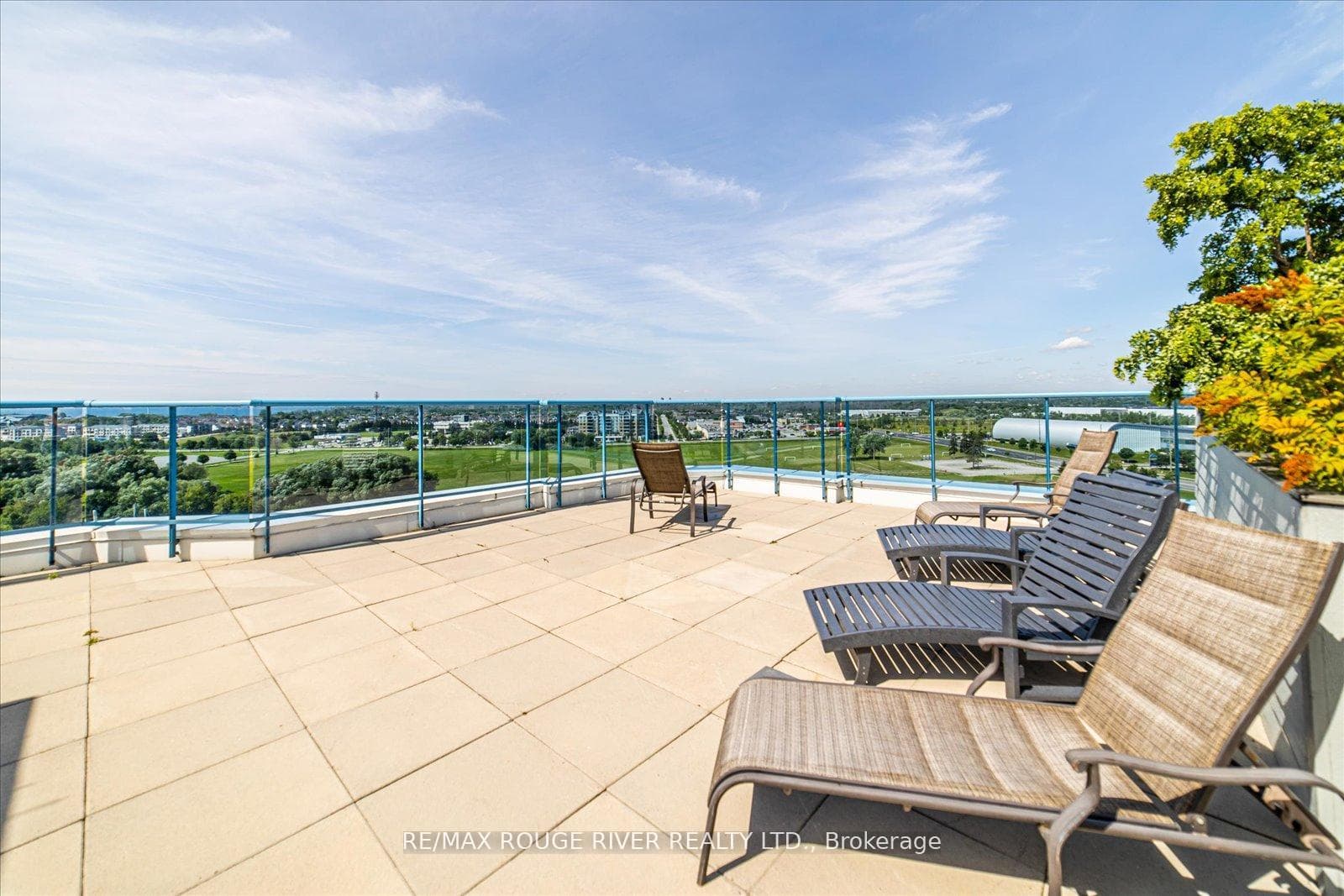 Rooftop loungers