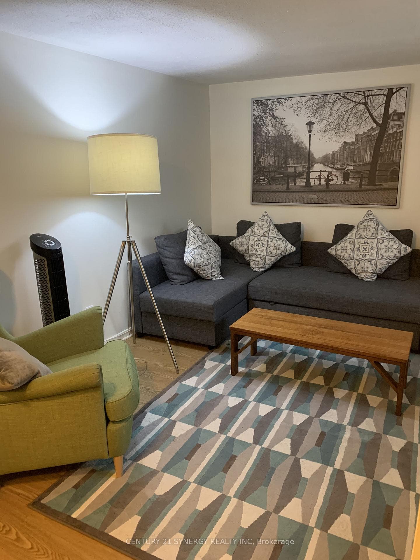 Basement Unit