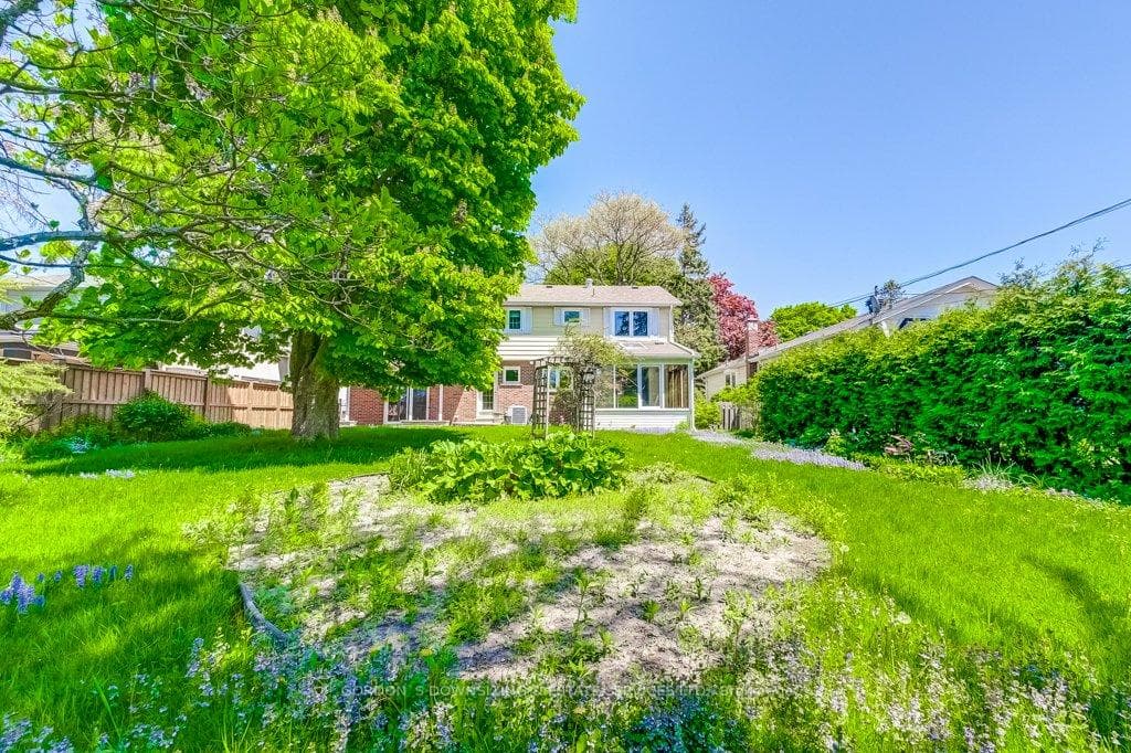 71 Walkerton Drive photo 38