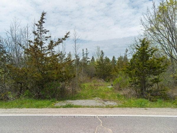 1685 Sunnyside Road photo 2