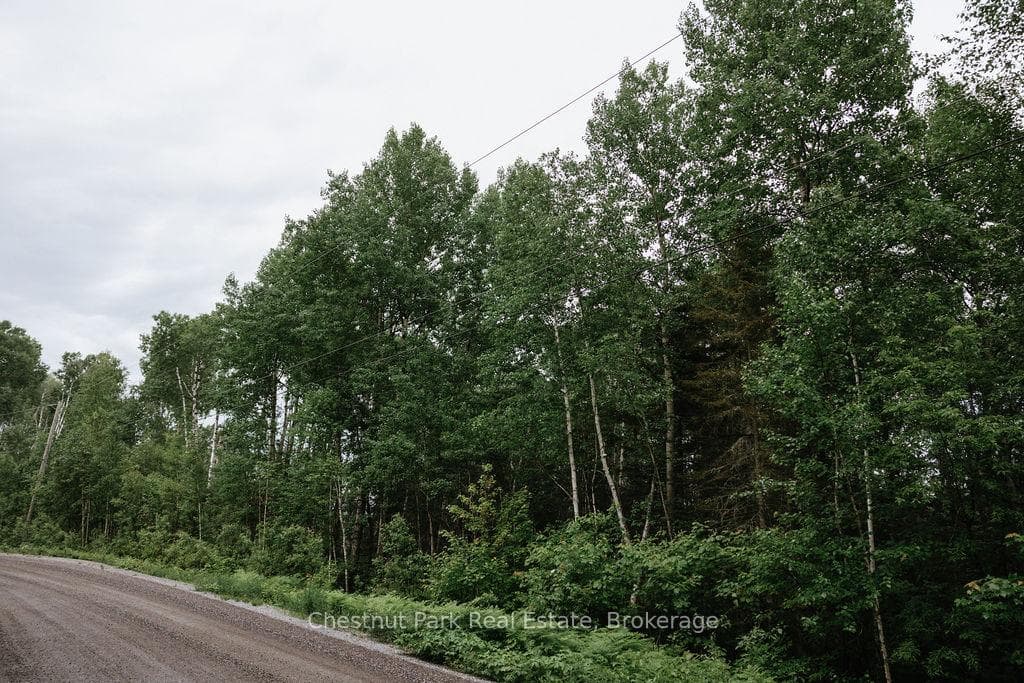 447 Fox Run photo 13