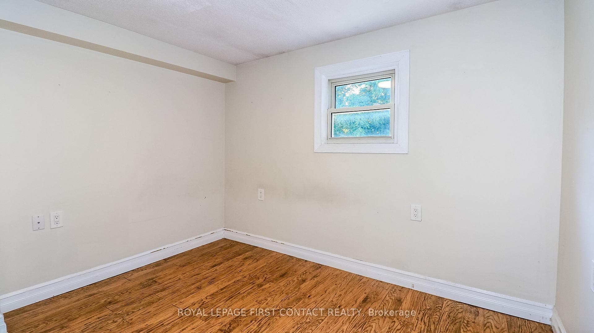 47 Campbell Avenue photo 27