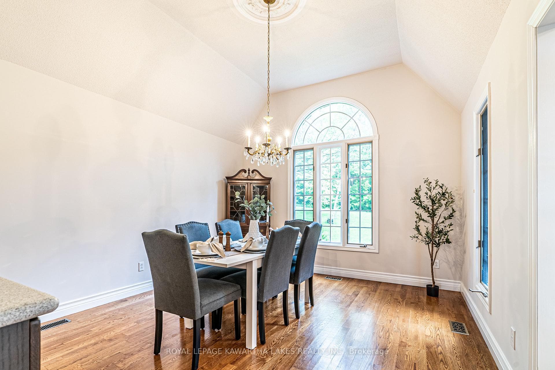 24 South Fork Drive photo 17
