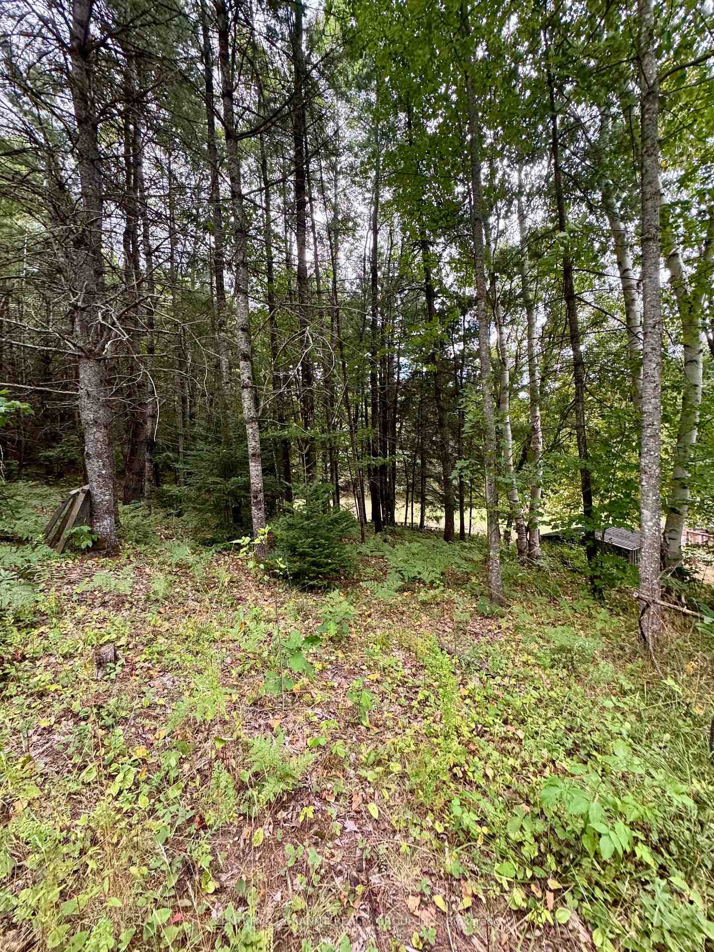 1641 Boulter Road photo 39