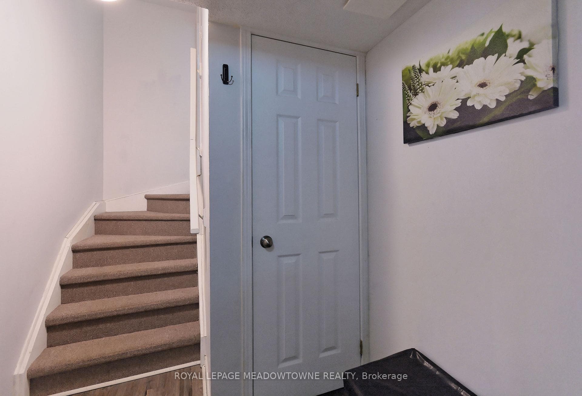 4705 Alana Glen Drive photo 33