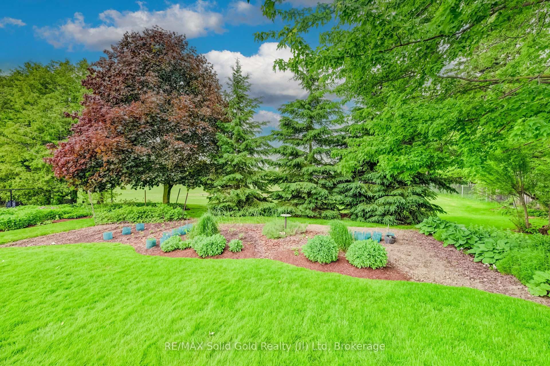 11 Lorraine Drive photo 42