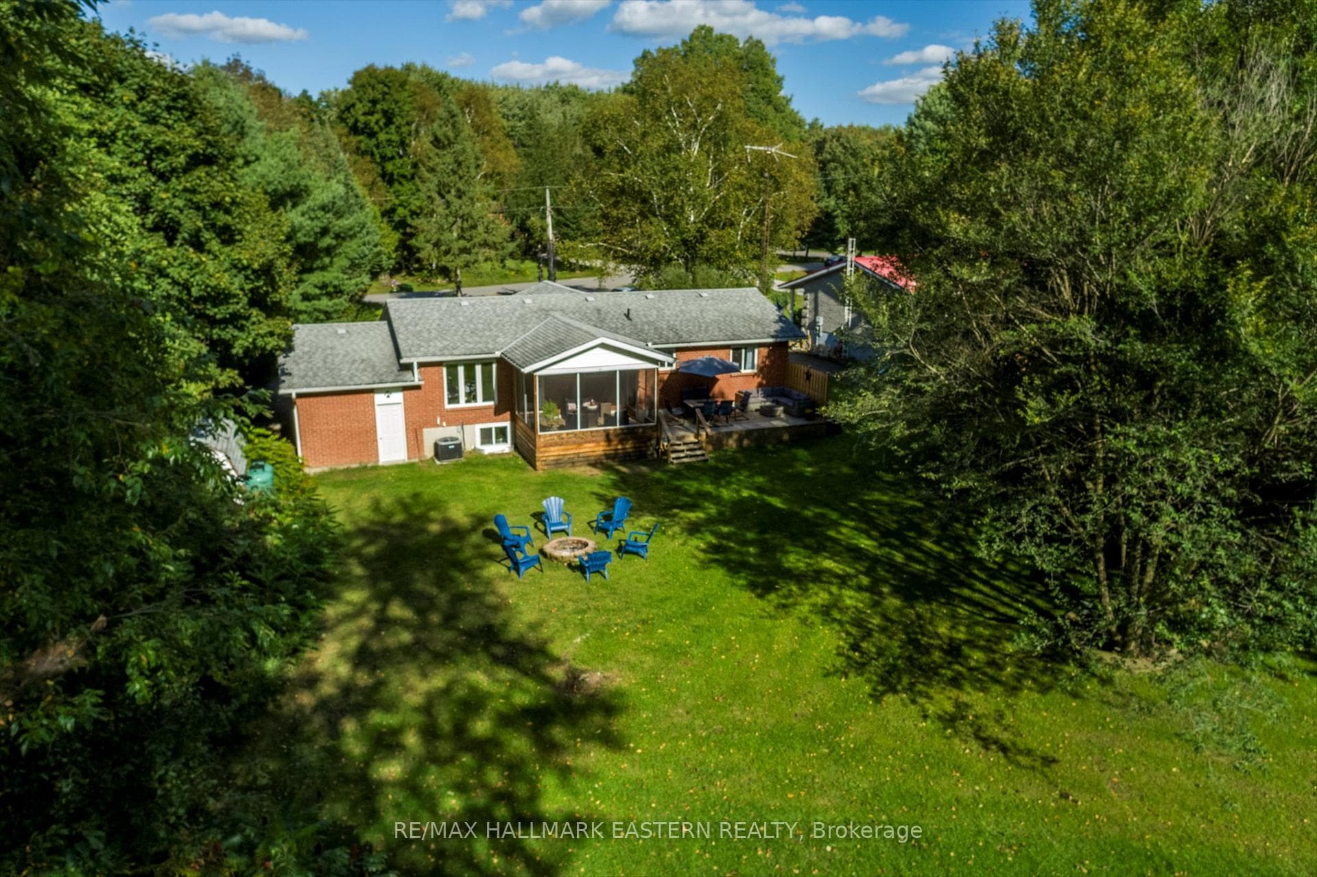 Back yard