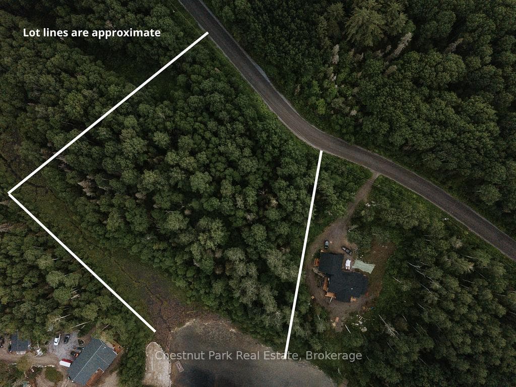 447 Fox Run photo 14