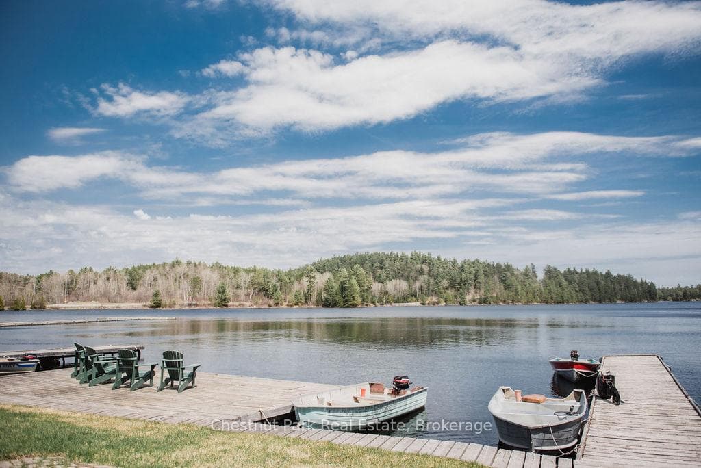 51 Stevens Road photo 40