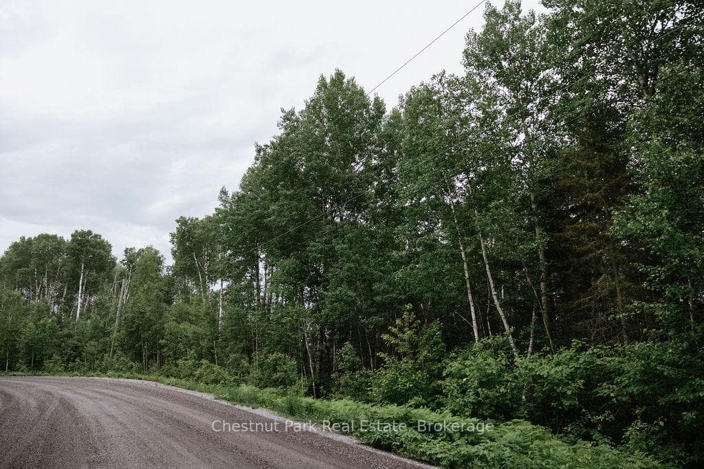 447 Fox Run photo 27