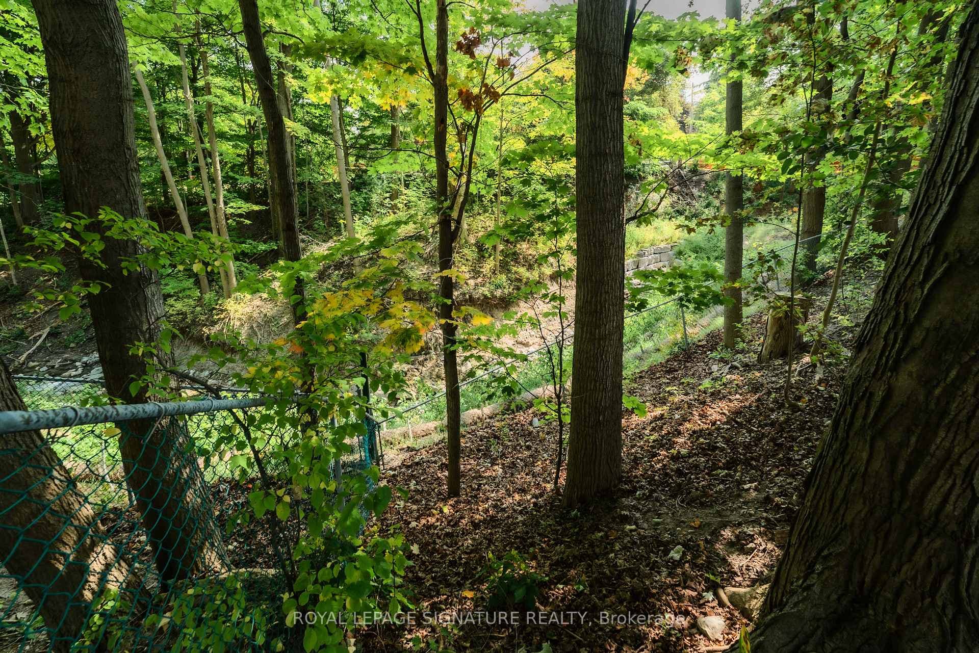 23 Sifton Court photo 33