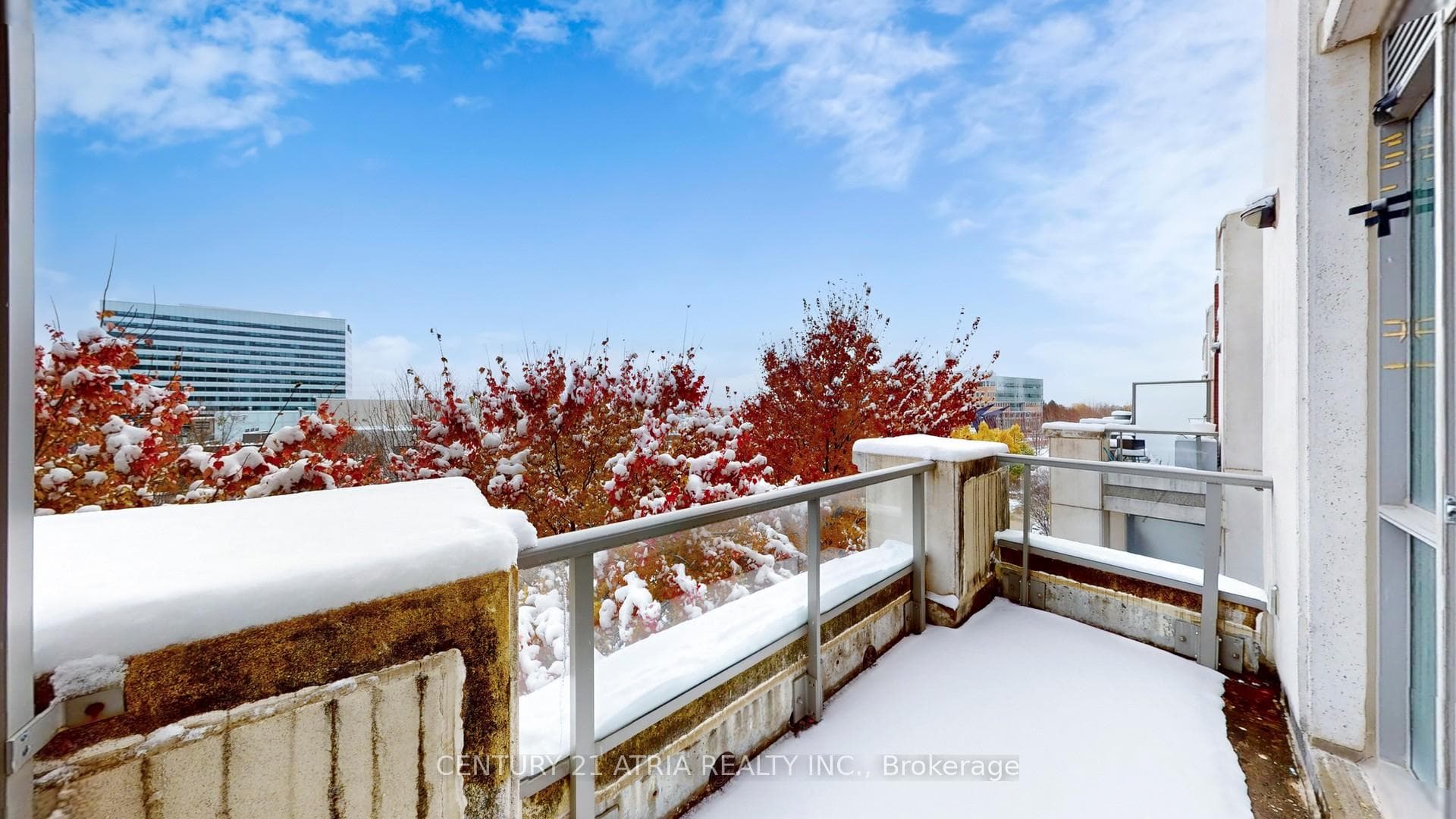57 Upper Duke Crescent Unit 311D photo 40