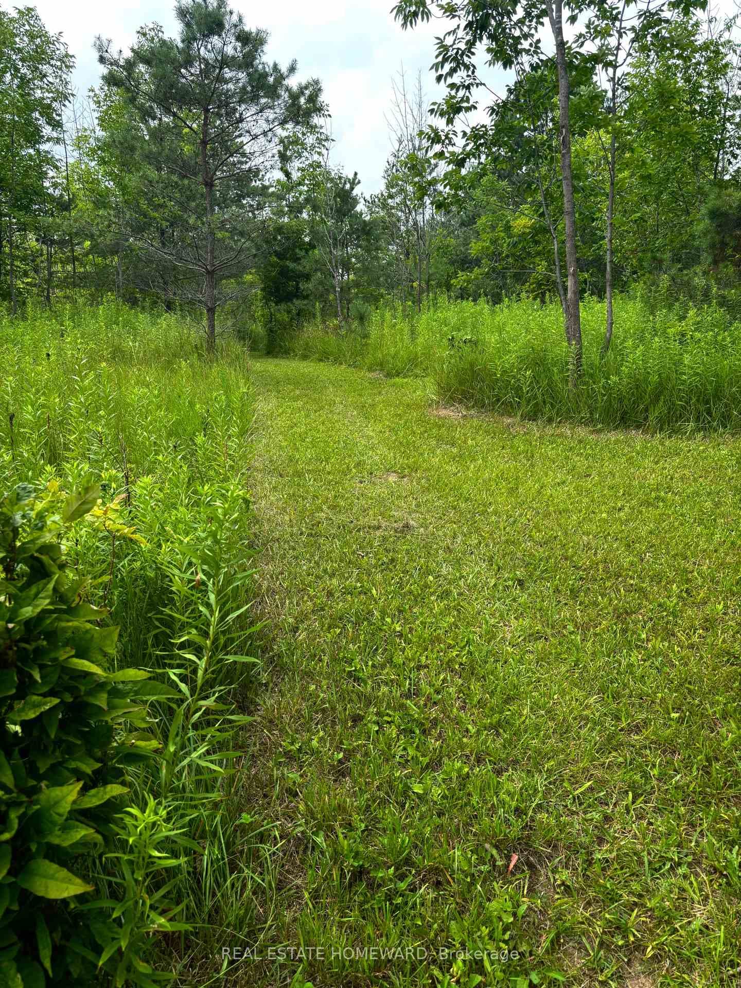 937082 AIRPORT Road photo 38