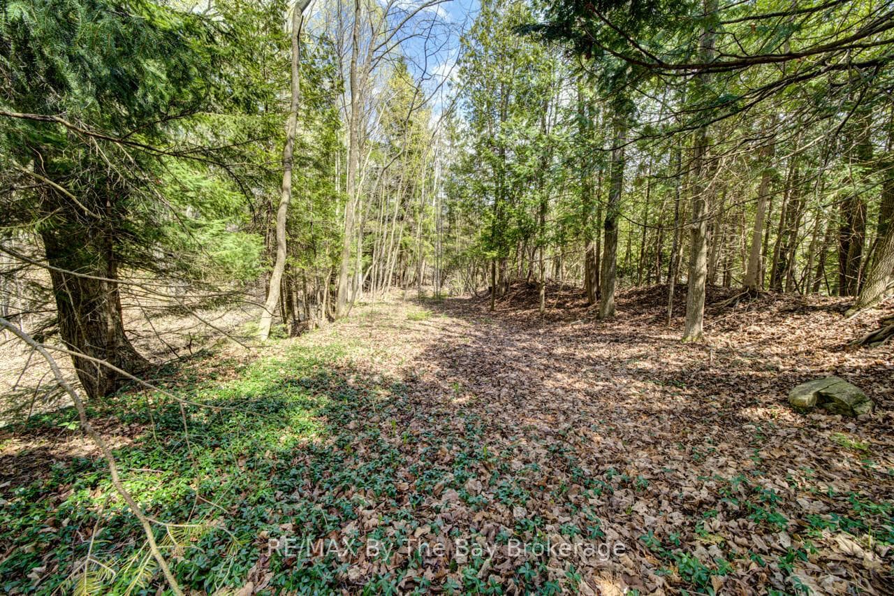 8308 County Road 9 N/A photo 43