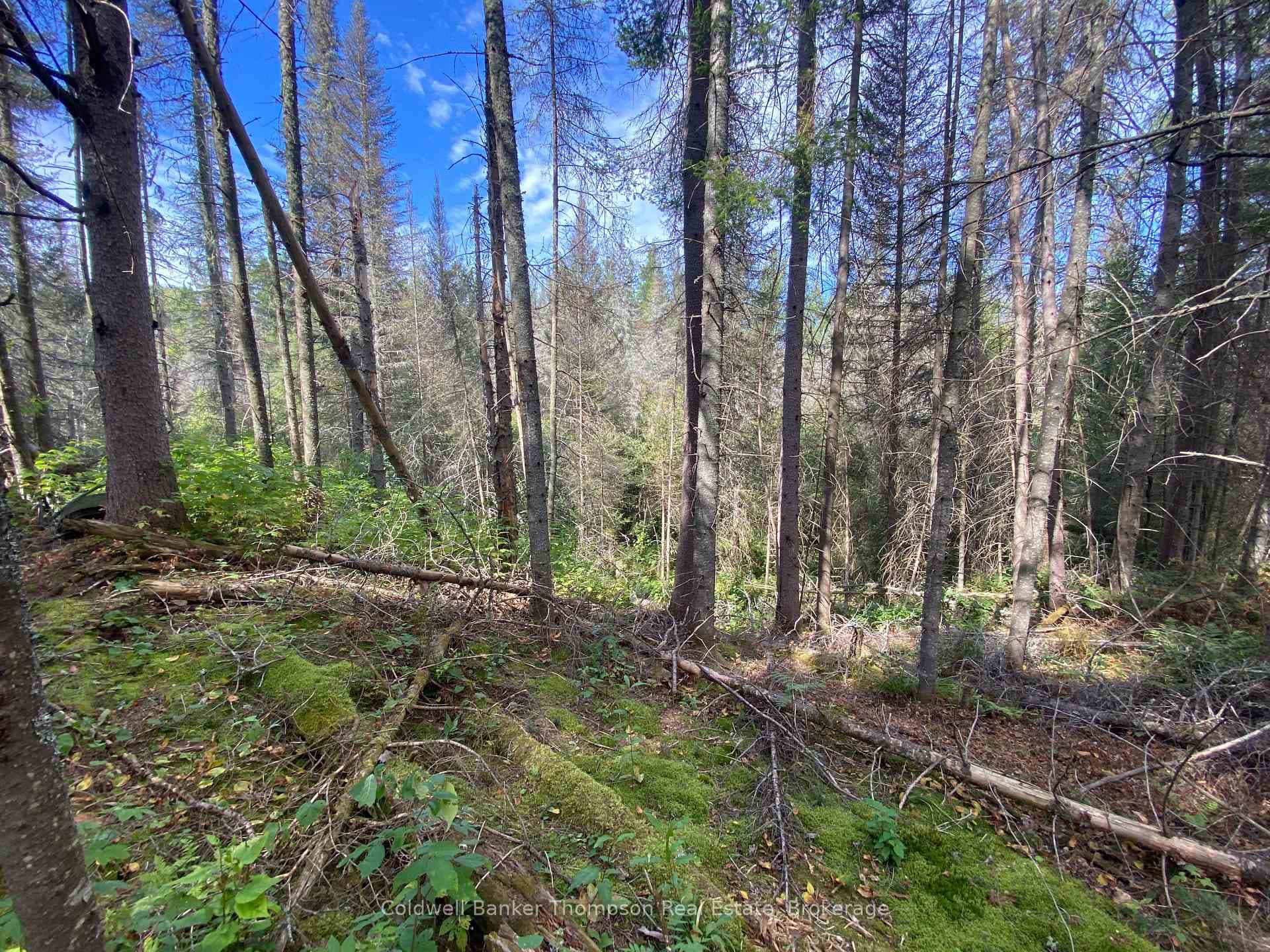0 Municipal Road photo 6