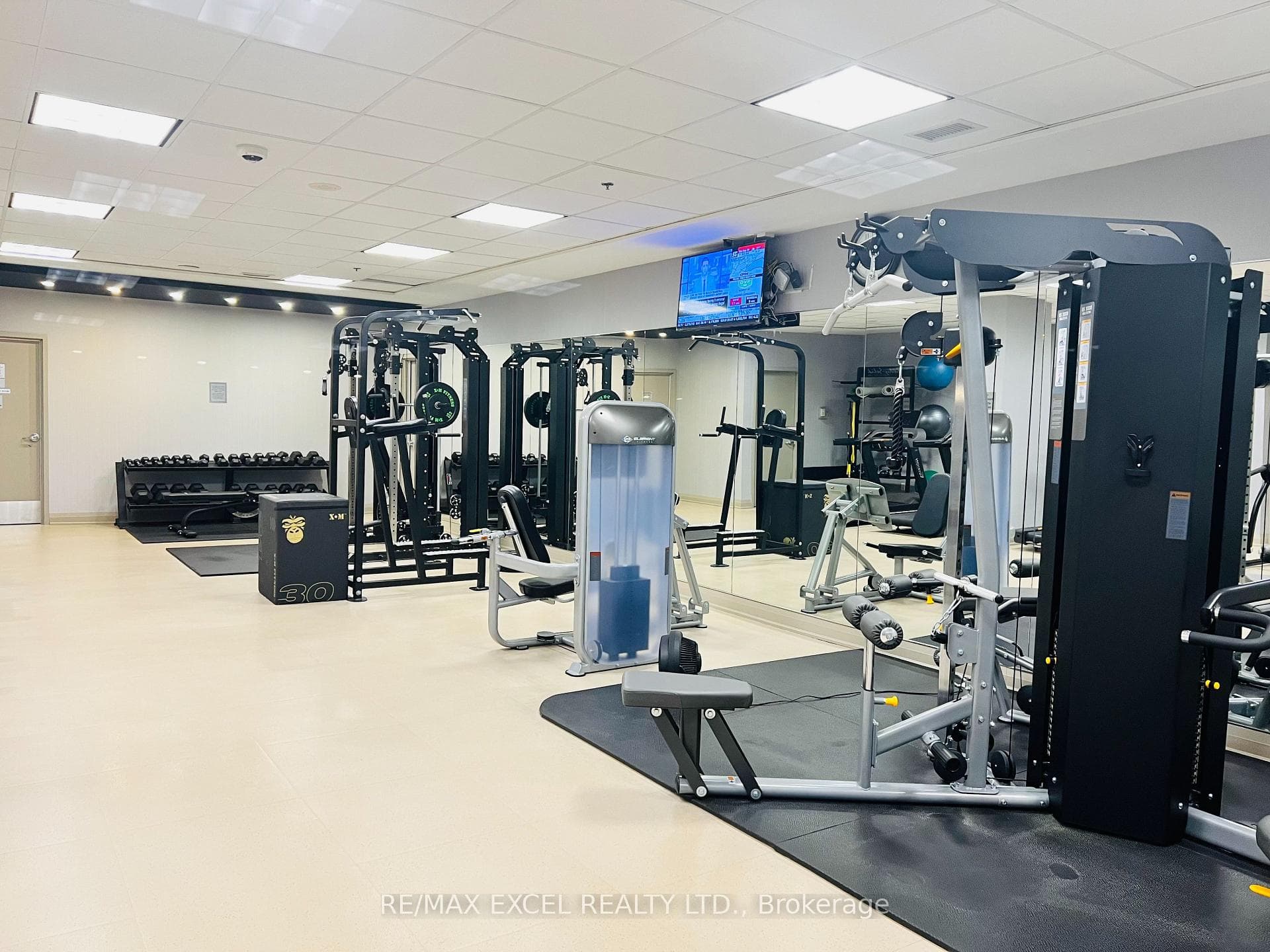 GYM ROOM