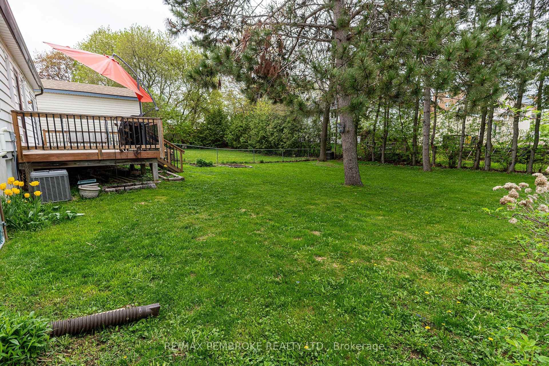 mature backyard