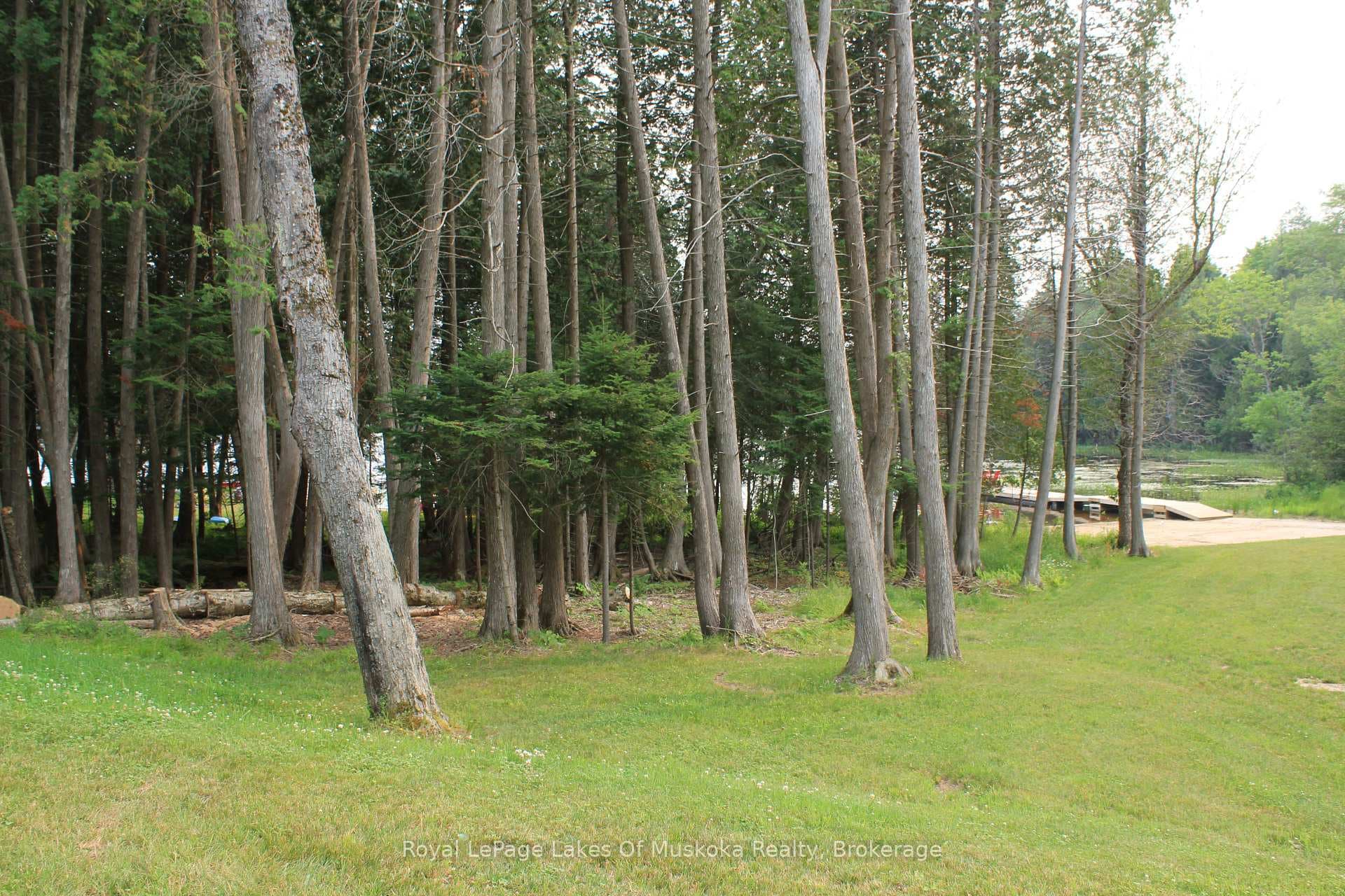 60 Wurm Road photo 45