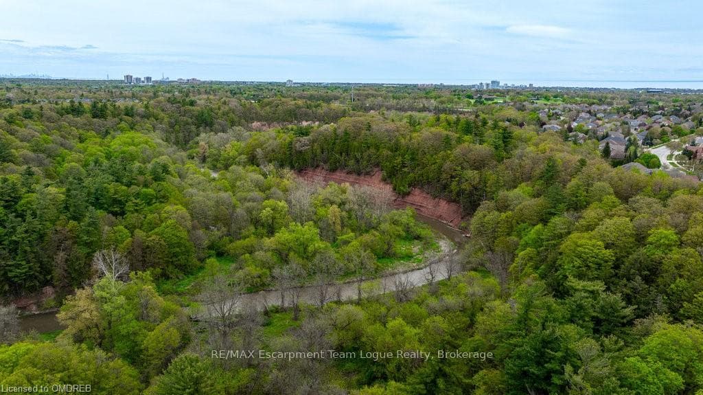 1155 TREETOP Terrace photo 48