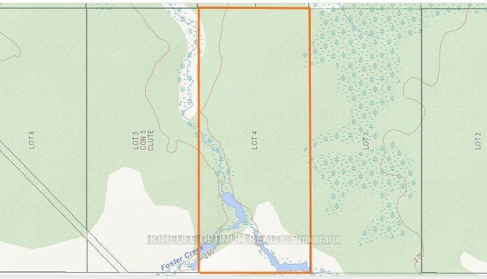 150 Acres in Clute Township N/A photo 4