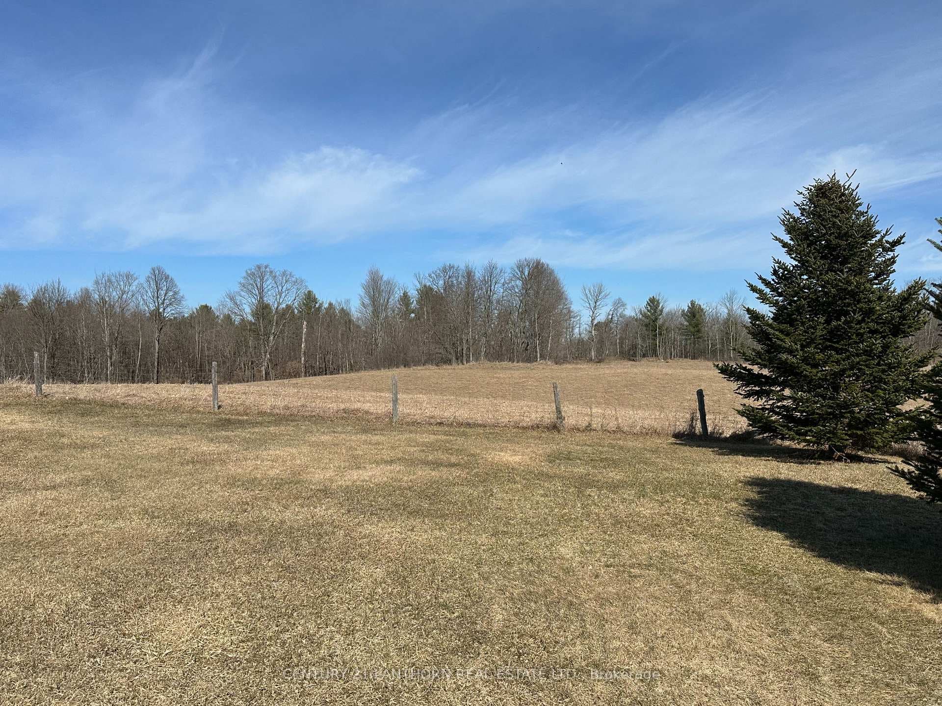 878 Barry Road photo 16