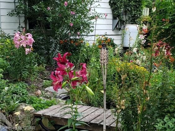 178 CHALMERS Street photo 37