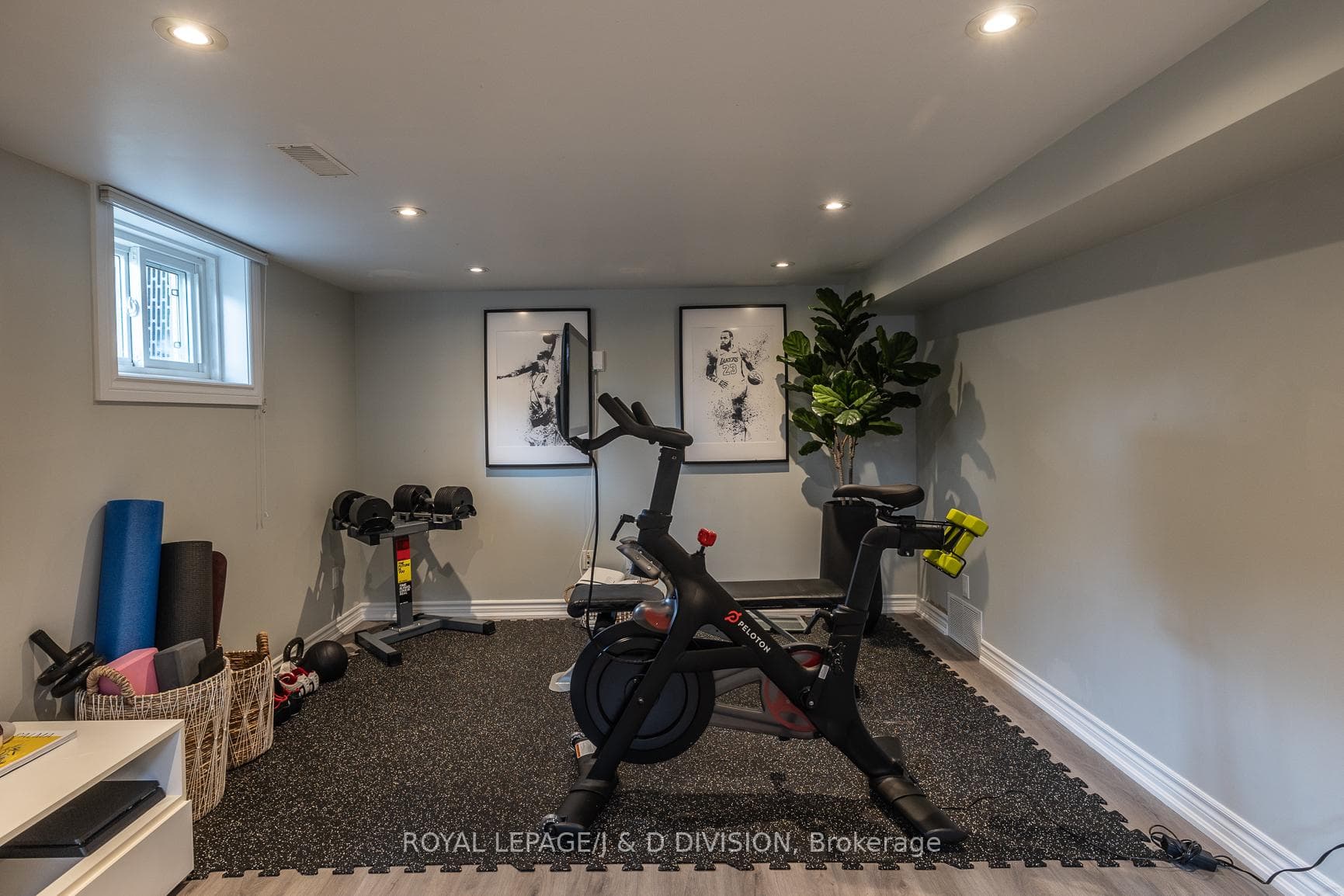 4 Joanith Drive photo 27